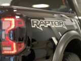 Nova Ranger Raptor